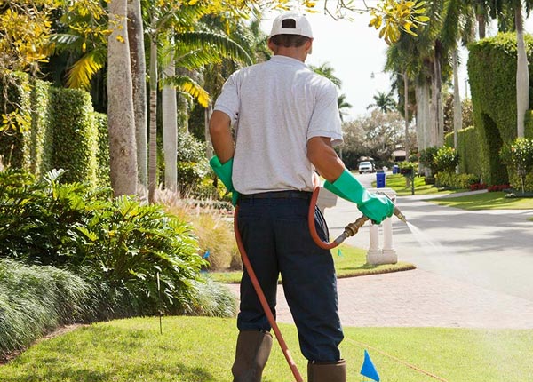 About Smyrna NC Pest Control